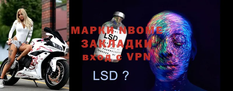 blacksprut ссылки  Нестеров  Марки 25I-NBOMe 1,8мг  где купить наркоту 